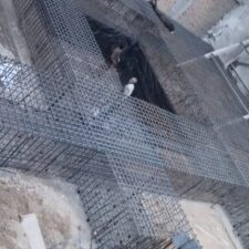 عبدالله تاجیک