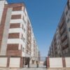 پوریا بیدی