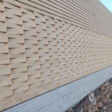 کامران میرزایی