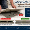 پوریا بیدی