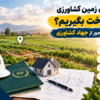 پوریا بیدی